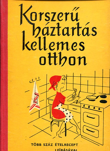 Korszerű háztartás kellemes otthon antikvár