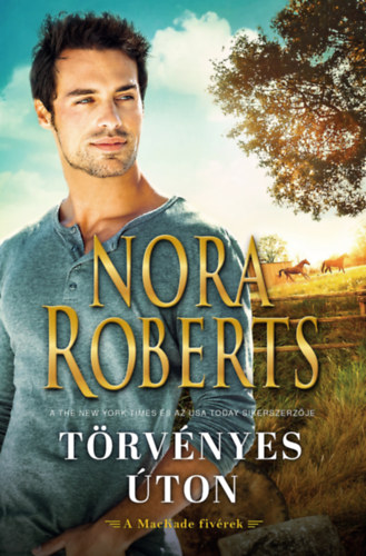 Törvényes úton – Nora Roberts
