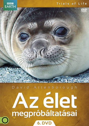Az élet megpróbáltatásai - DVD 6 DVD