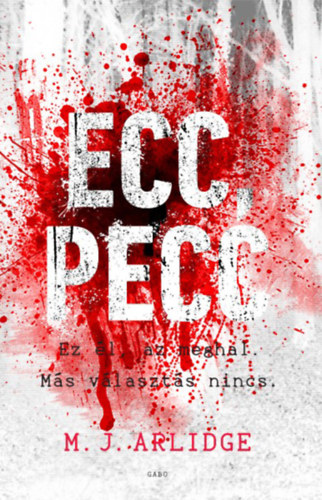 M. J. Arlidge: Ecc, pecc e-Könyv
