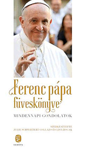 Ferenc pápa füveskönyve - Mindennapi gondolatok antikvár