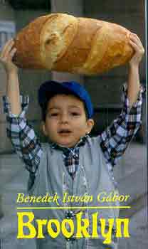 Benedek István Gábor: Brooklyn antikvár