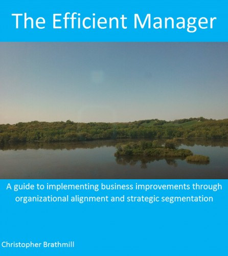 The Efficient Manager
