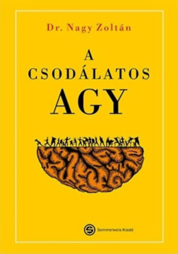 Dr. Nagy Zoltán: A csodálatos agy antikvár