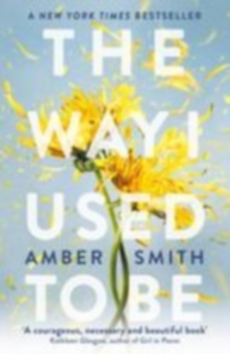 Smith, Amber: The Way I Used to Be idegen