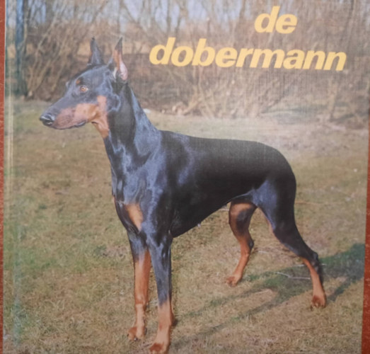 De dobermann antikvár