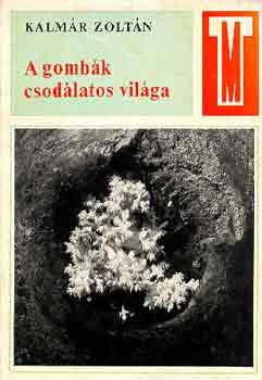 Kalmár Zoltán: A gombák csodálatos világa antikvár