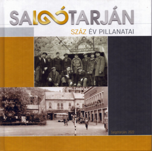 Dr. Fodor Miklós Zoltán: Salgótarján - Száz év pillanatai antikvár