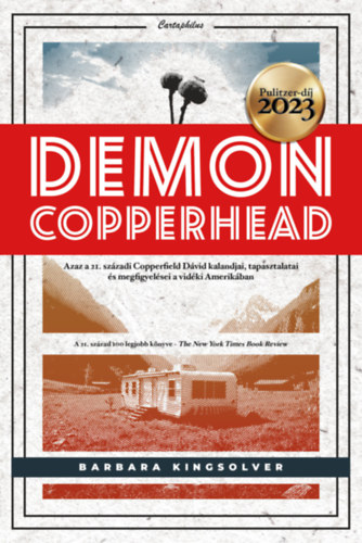 Barbara Kingsolver: Demon Copperhead e-Könyv