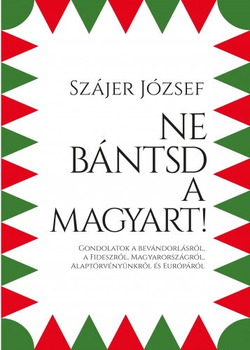 Ne bántsd a magyart! - Gondolatok a bevándorlásról, a Fideszről, Magyarországról, Alaptörvényünkről és Európáról akciós termékkép 1