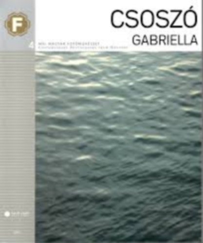 Csoszó Gabriella - Mai magyar fotóművészet 4 antikvár