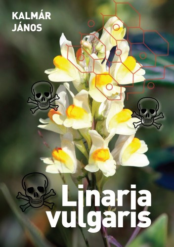 Kalmár János: Linaria vulgaris e-Könyv
