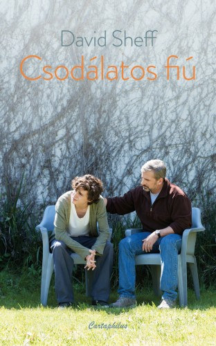 David Sheff: Csodálatos fiú e-Könyv