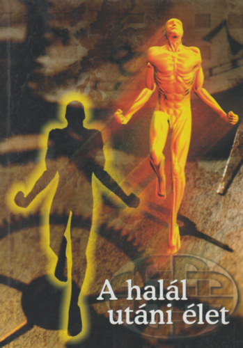 A halál utáni élet - szellemi világ, látomások, karma, pokol, szenvedélybetegség antikvár