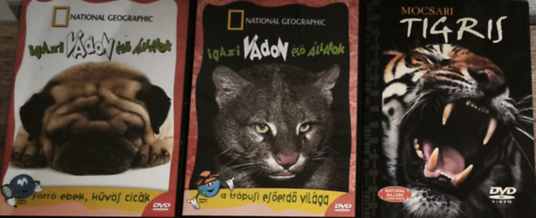 3db vadálatokkal, vadvilággal kapcsolatos DVD - Igazi vadon élő állatok-A trópusi esőerdő világa, Igazi vadon élő állatok-Forró ebek, hűvös cicák, Mocsári tigris antikvár