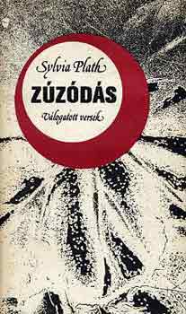 Sylvia Plath: Zúzódás antikvár