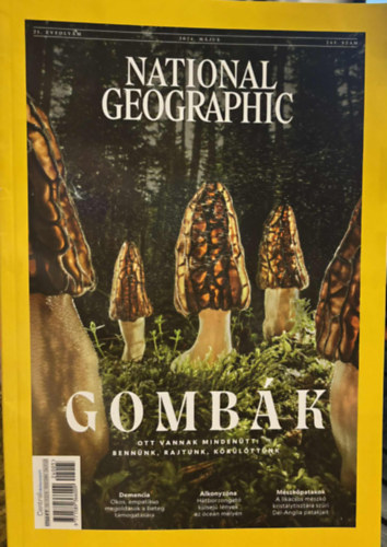 National Geographic  - 2024. Május. 243. szám 21. évf. - Gombák - Ott vannak mindenütt: Bennünk, rajtunk, körülöttünk antikvár