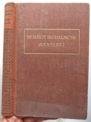 ifj. Hegedűs Sándor: Lángelmék árnyékában antikvár