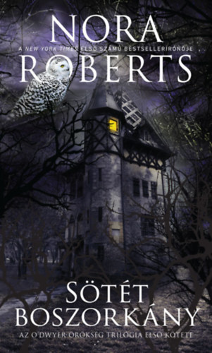 Nora Roberts: Sötét boszorkány e-Könyv
