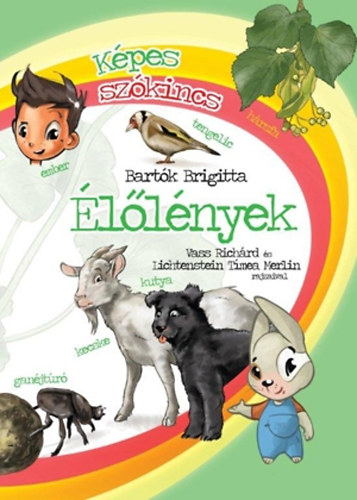 Bartók Brigitta: Képes szókincs - Élőlények antikvár
