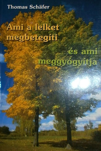 Thomas Schäfer: Ami a lelket megbetegíti és ami meggyógyítja antikvár