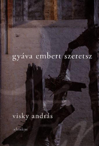 Visky András: Gyáva embert szeretsz könyv