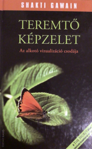 Shakti Gawain: A teremtő képzelet antikvár
