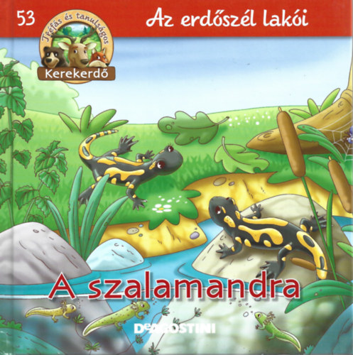 A szalamandra (Kerekerdő- Az erdőszél lakói 53.) antikvár