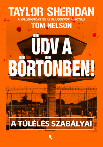 Sheridan, Taylor: Üdv a börtönben! könyv