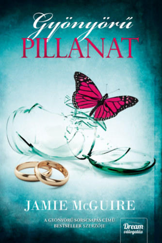 Jamie McGuire: Gyönyörű pillanat könyv