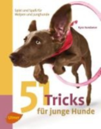 Sundance, Kyra: 51 Tricks für junge Hunde idegen