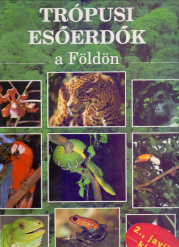Rupert Matthews: Trópusi esőerdők a Földön - A természeti környezet védelmében (2., javított kiadás) antikvár