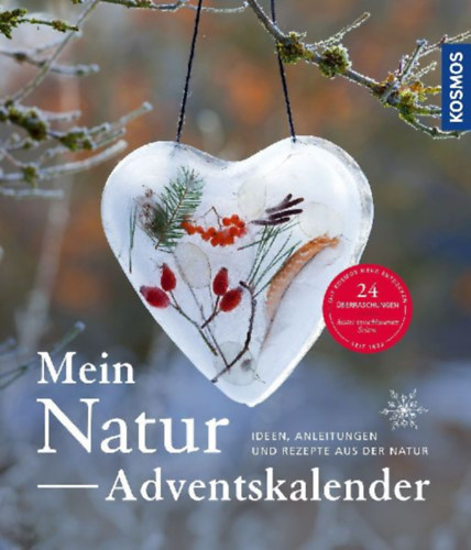Rogge, Anne: Natur-Adventskalender idegen