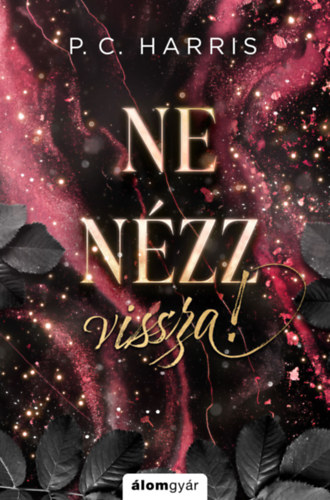 P. C. Harris: Ne nézz vissza! könyv