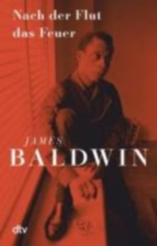 Baldwin, James: Nach der Flut das Feuer idegen