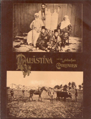 Palästina und die jüdischen Colonien idegen