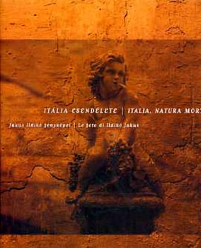 Jakus Ildikó: Itália csendélete - Italia, natura morta antikvár