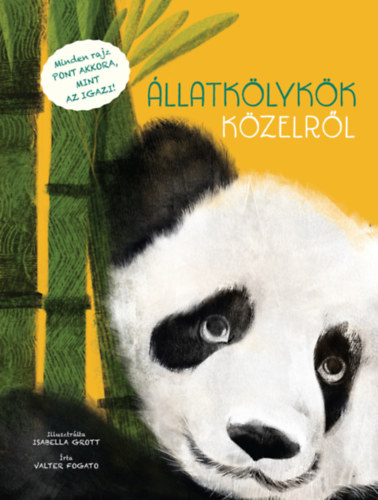 Állatkölykök közelről akciós termékkép 1