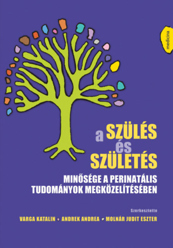 A szülés és születés minősége a perinatális tudományok megközelítésében akciós termékkép 1