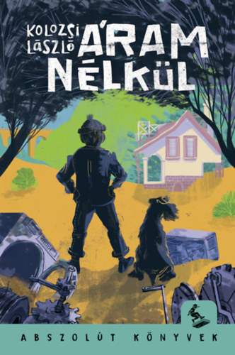 Kolozsi László: Áram nélkül könyv