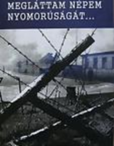 Dr. Léránt István: Megláttam népem nyomorúságát... antikvár