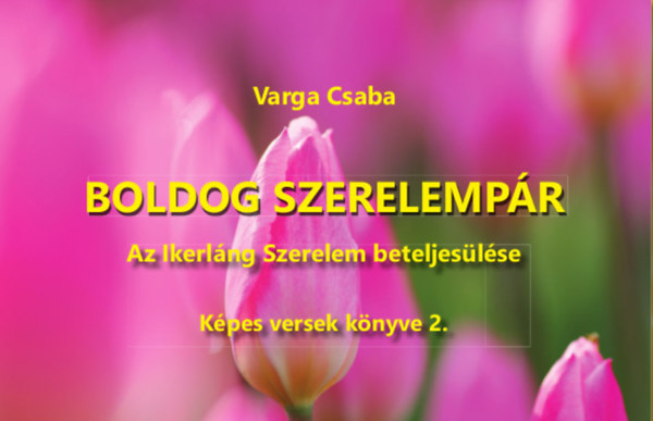 Varga Csaba: Boldog szerelempár könyv