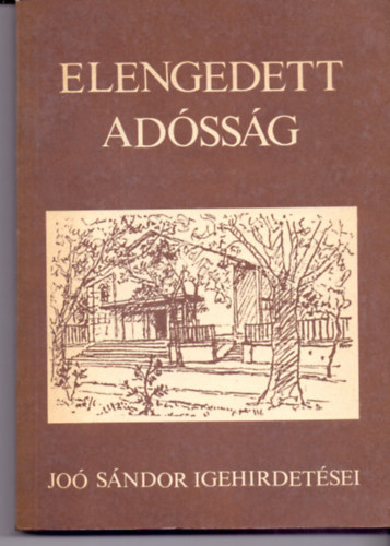Joó Sándor: Elengedett adósság antikvár