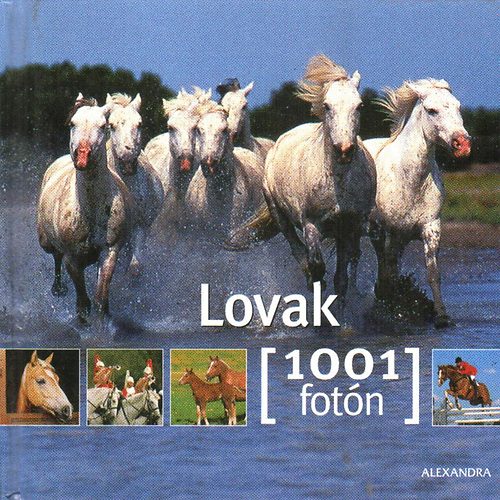 Rudel. Murielle (szerk.): Lovak- 1001 fotón antikvár