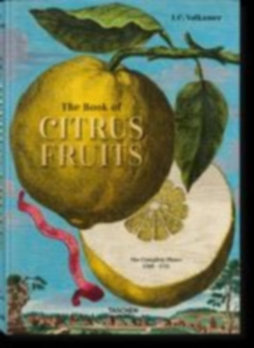 Lauterbach, Iris: J. C. Volkamer. The Book of Citrus Fruits idegen