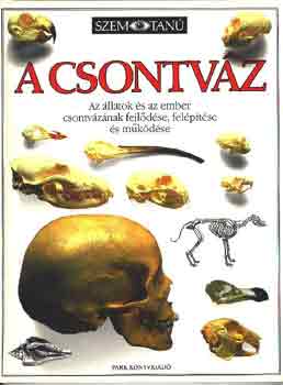 Steve Parker: A csontváz (Szemtanú) antikvár