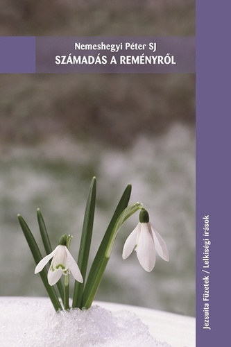 Nemeshegyi Péter Sj: Számadás a reményről antikvár