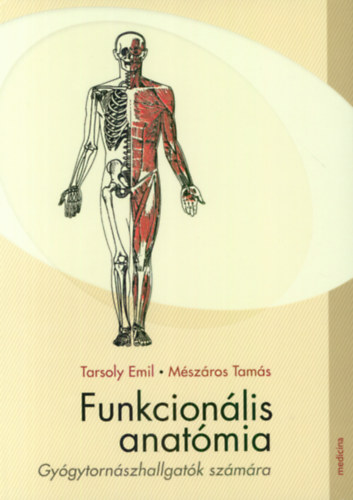 Funkcionális anatómia - Masszőrök Egyesülete
