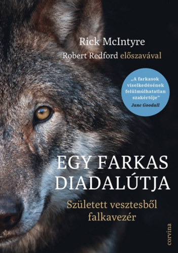 Rick McIntyre: Egy farkas diadalútja - Született vesztesből falkavezér antikvár