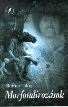 Bornai Tibor: Morfondírozások antikvár